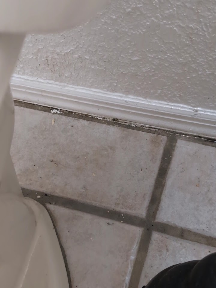 Project Plumbing Llc project
